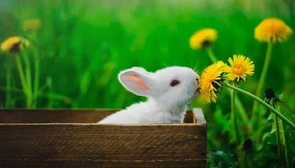 姜宇星：希望能尽快融入辽篮，新赛季会尽自己的所能帮助球队